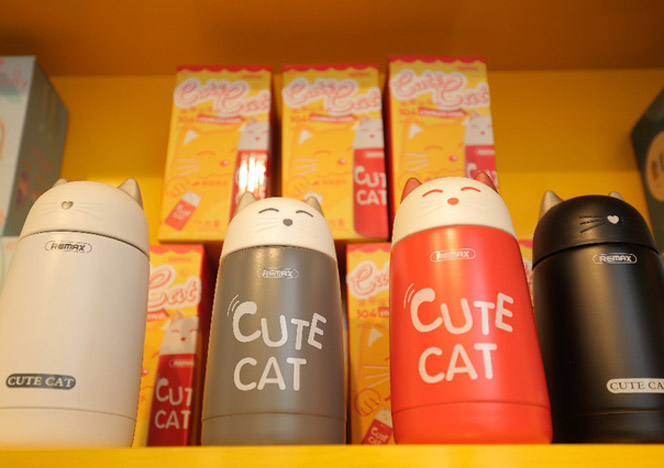 Giải mã sức hút remax 2